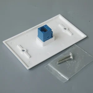 2pcs CAT6 RJ45 Wall Plate Jacks